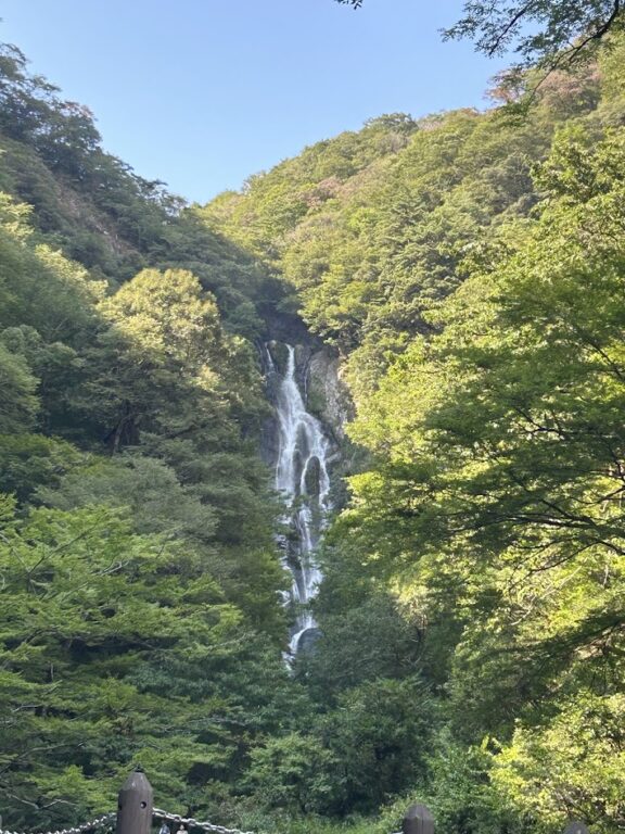 お盆はいかがお過ごしされましたか